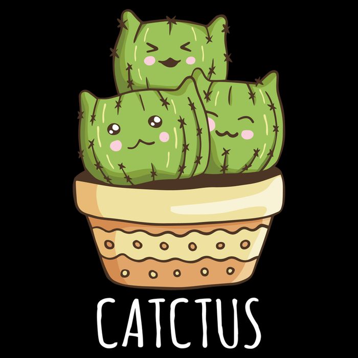 Cute Cactus Three Cats Youth Performance Sprint T-Shirt