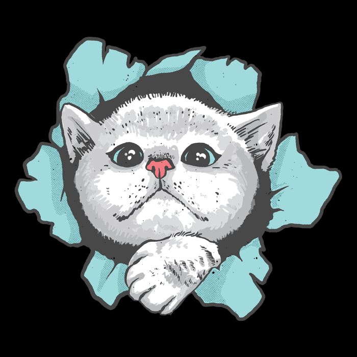 Cute Cat Through Hole Sweatshirt