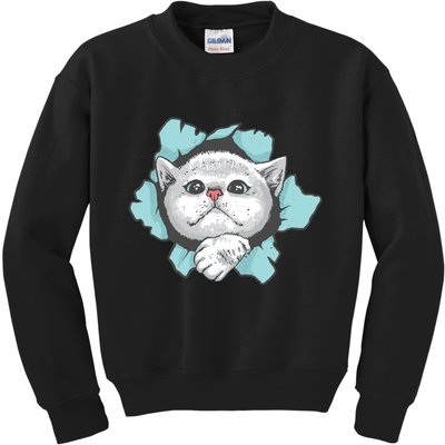 Cute Cat Through Hole Kids Sweatshirt