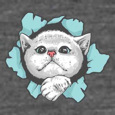 Cute Cat Through Hole T-Shirt