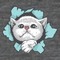 Cute Cat Through Hole Magnet