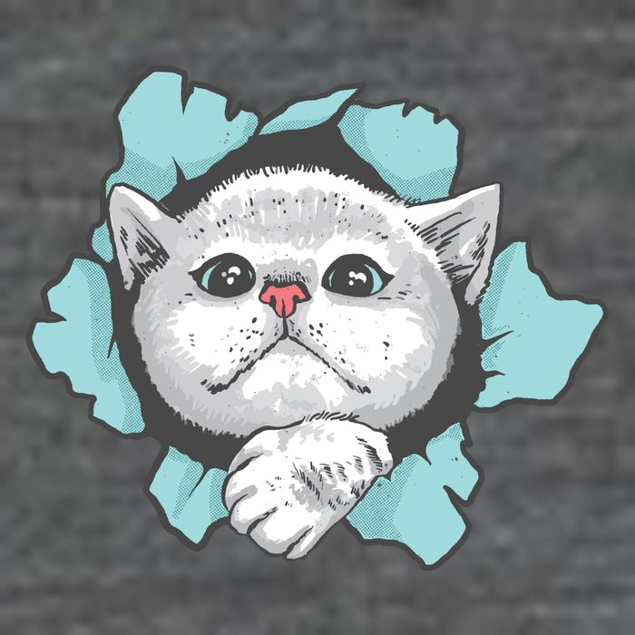 Cute Cat Through Hole Magnet
