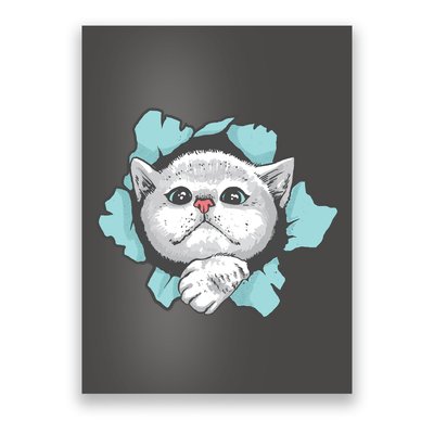 Cute Cat Through Hole Poster
