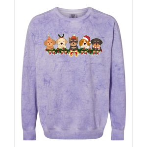 Cute Christmas Dogs Puppies Holly Garland  Colorblast Crewneck Sweatshirt