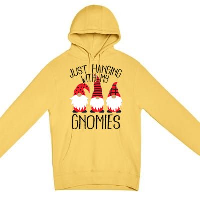 Cute Christmas Just Hanging With My Gnomies Premium Pullover Hoodie