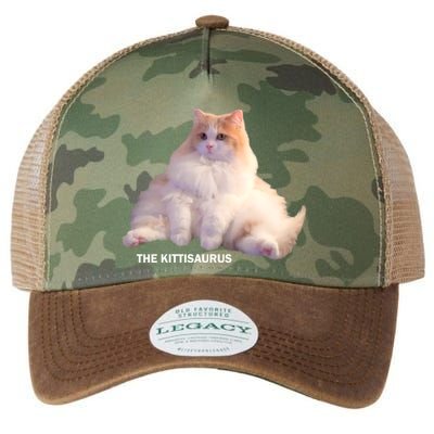 Cute DD The Cat Kittisaurus Legacy Tie Dye Trucker Hat
