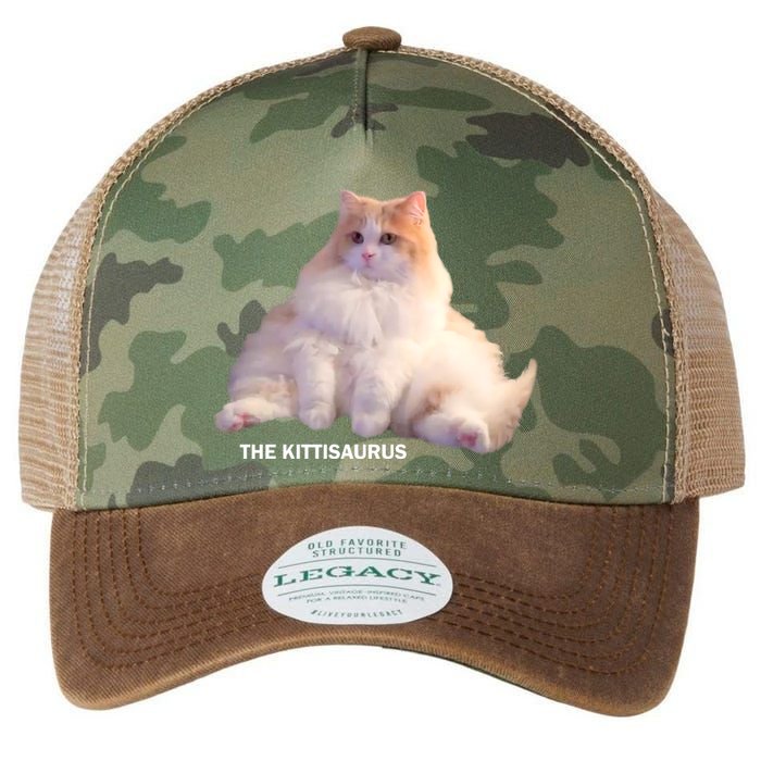 Cute DD The Cat Kittisaurus Legacy Tie Dye Trucker Hat