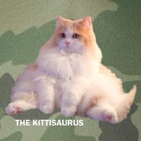 Cute DD The Cat Kittisaurus Legacy Tie Dye Trucker Hat