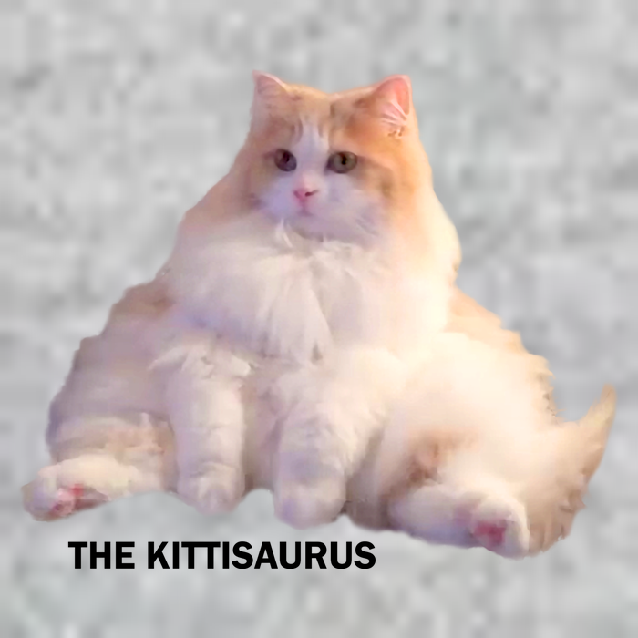 Cute DD The Cat Kittisaurus T-Shirt