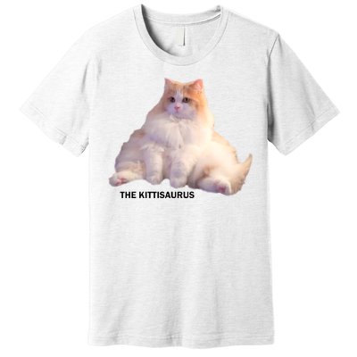 Cute DD The Cat Kittisaurus Premium T-Shirt