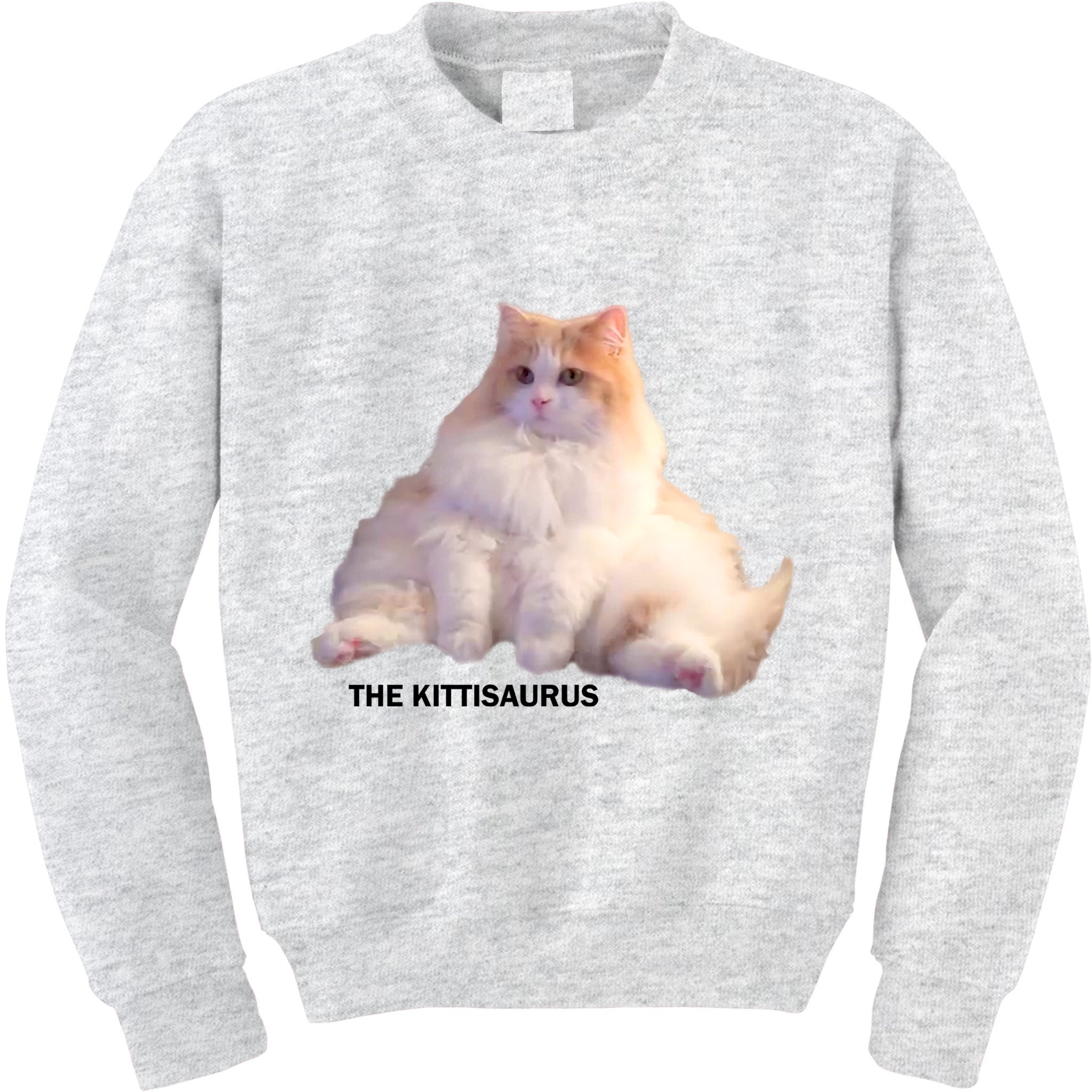 Cute DD The Cat Kittisaurus Kids Sweatshirt
