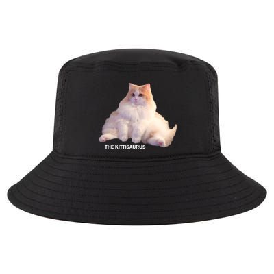 Cute DD The Cat Kittisaurus Cool Comfort Performance Bucket Hat