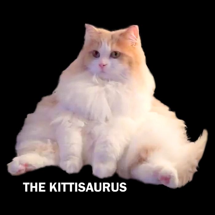 Cute DD The Cat Kittisaurus Performance Shirt