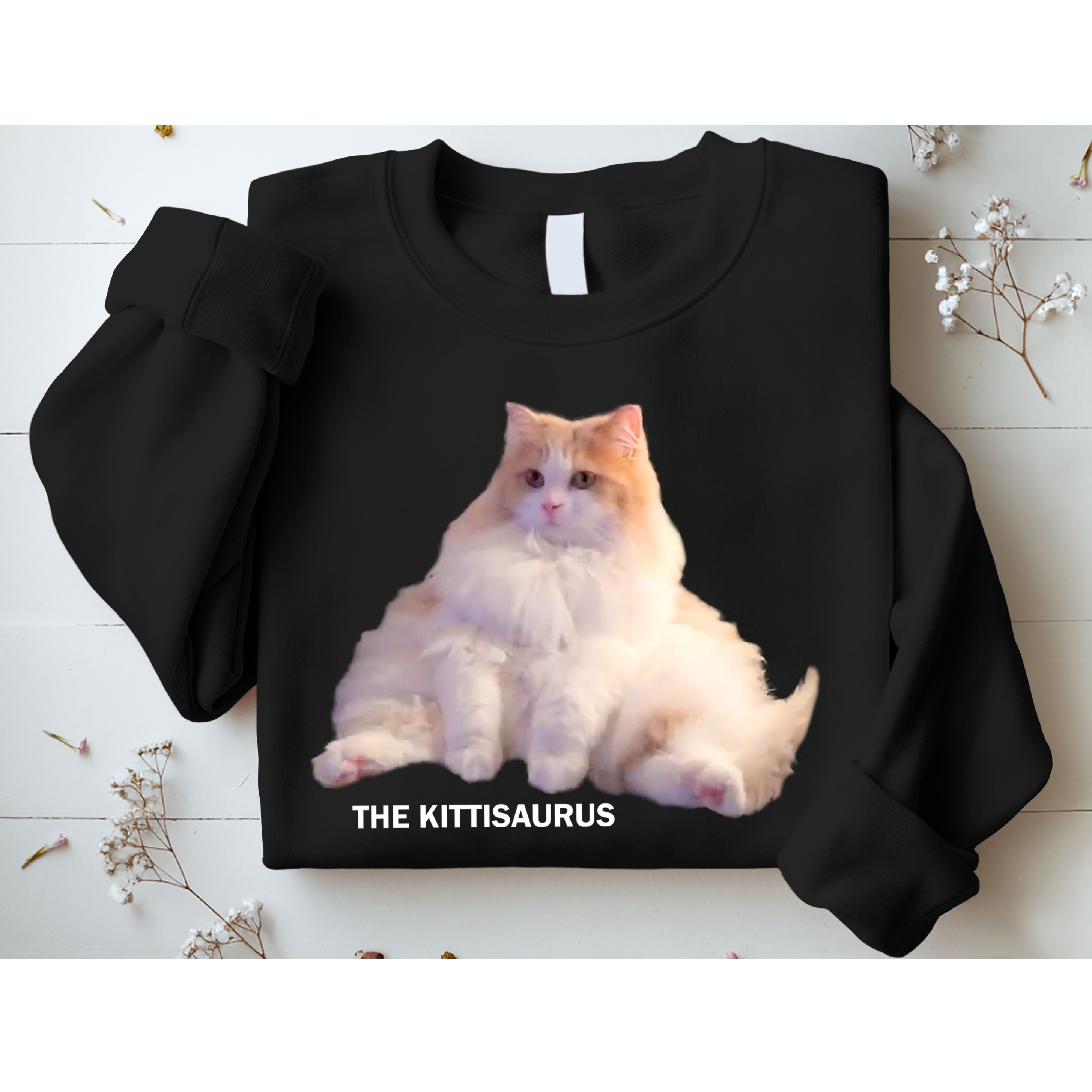 Cute DD The Cat Kittisaurus Sweatshirt