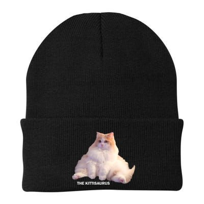 Cute DD The Cat Kittisaurus Beanie