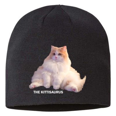 Cute DD The Cat Kittisaurus Sustainable Beanie
