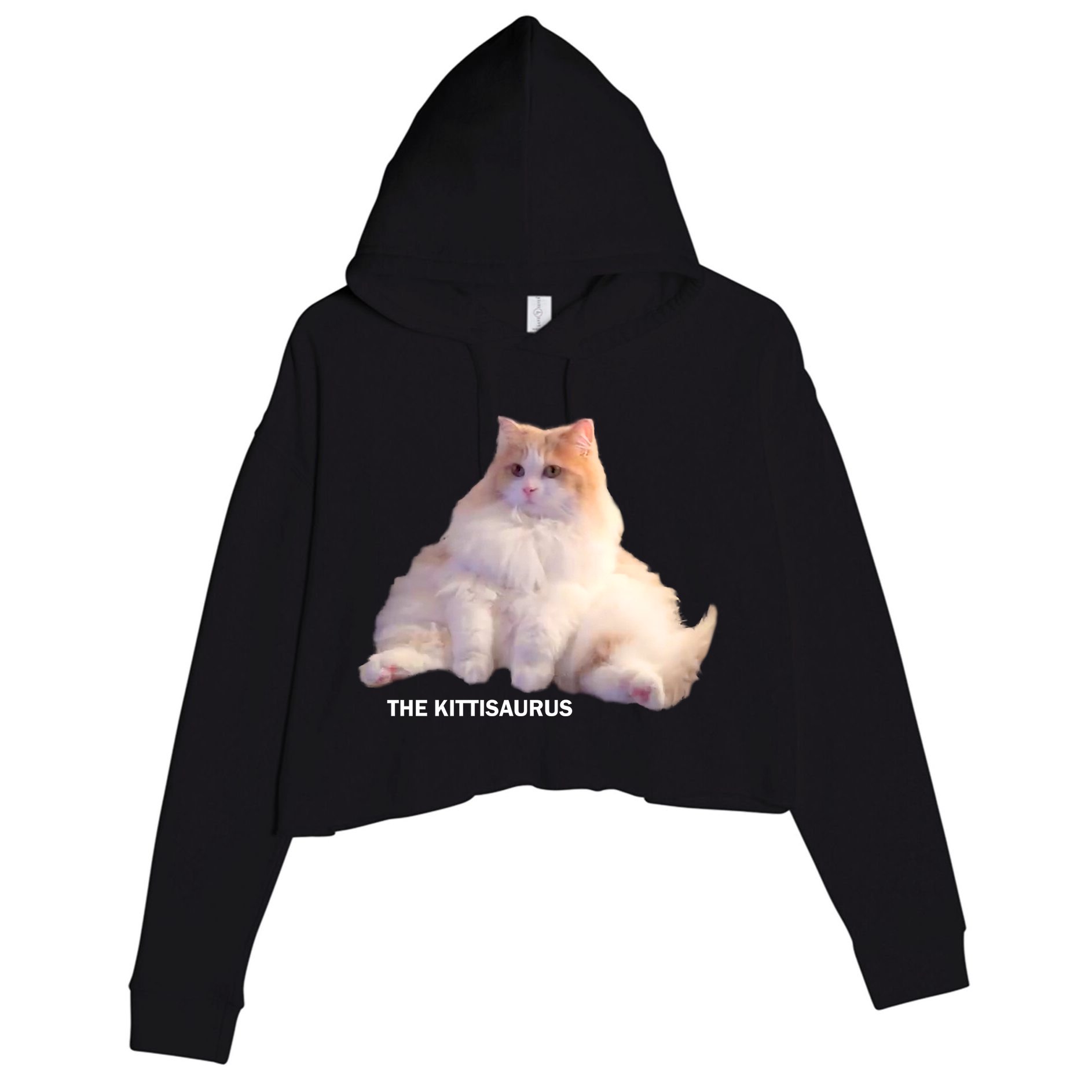 Cute DD The Cat Kittisaurus Crop Fleece Hoodie