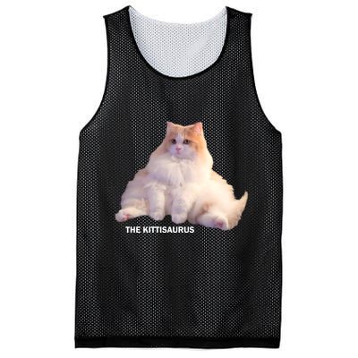 Cute DD The Cat Kittisaurus Mesh Reversible Basketball Jersey Tank