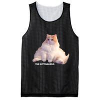 Cute DD The Cat Kittisaurus Mesh Reversible Basketball Jersey Tank