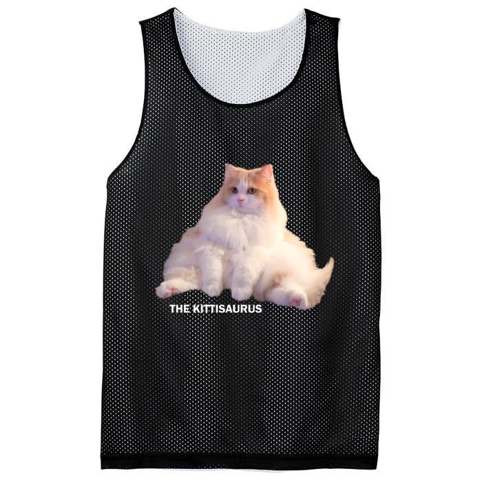 Cute DD The Cat Kittisaurus Mesh Reversible Basketball Jersey Tank