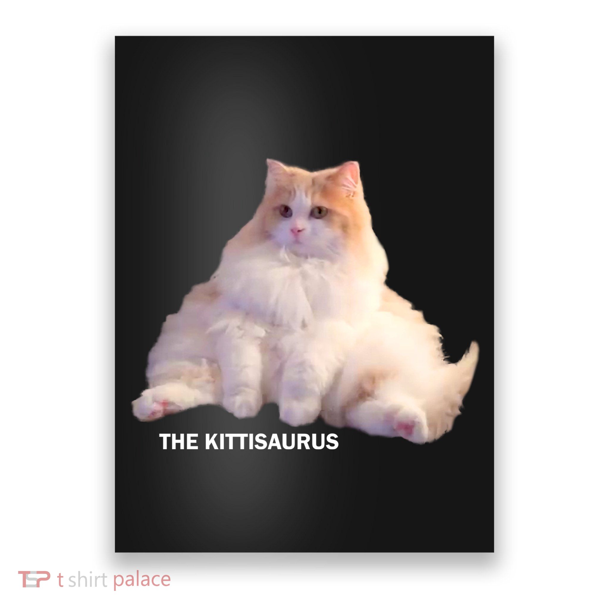 Cute DD The Cat Kittisaurus Poster