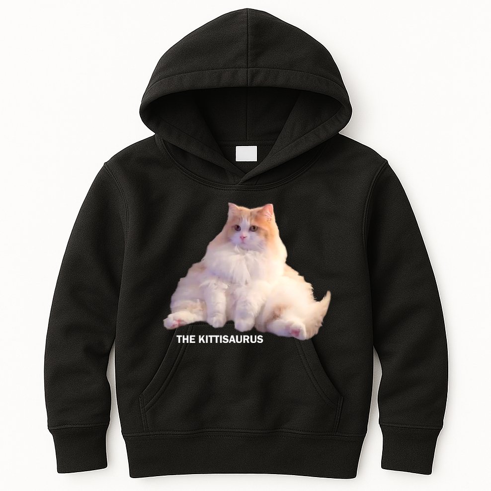 Cute DD The Cat Kittisaurus Kids Hoodie