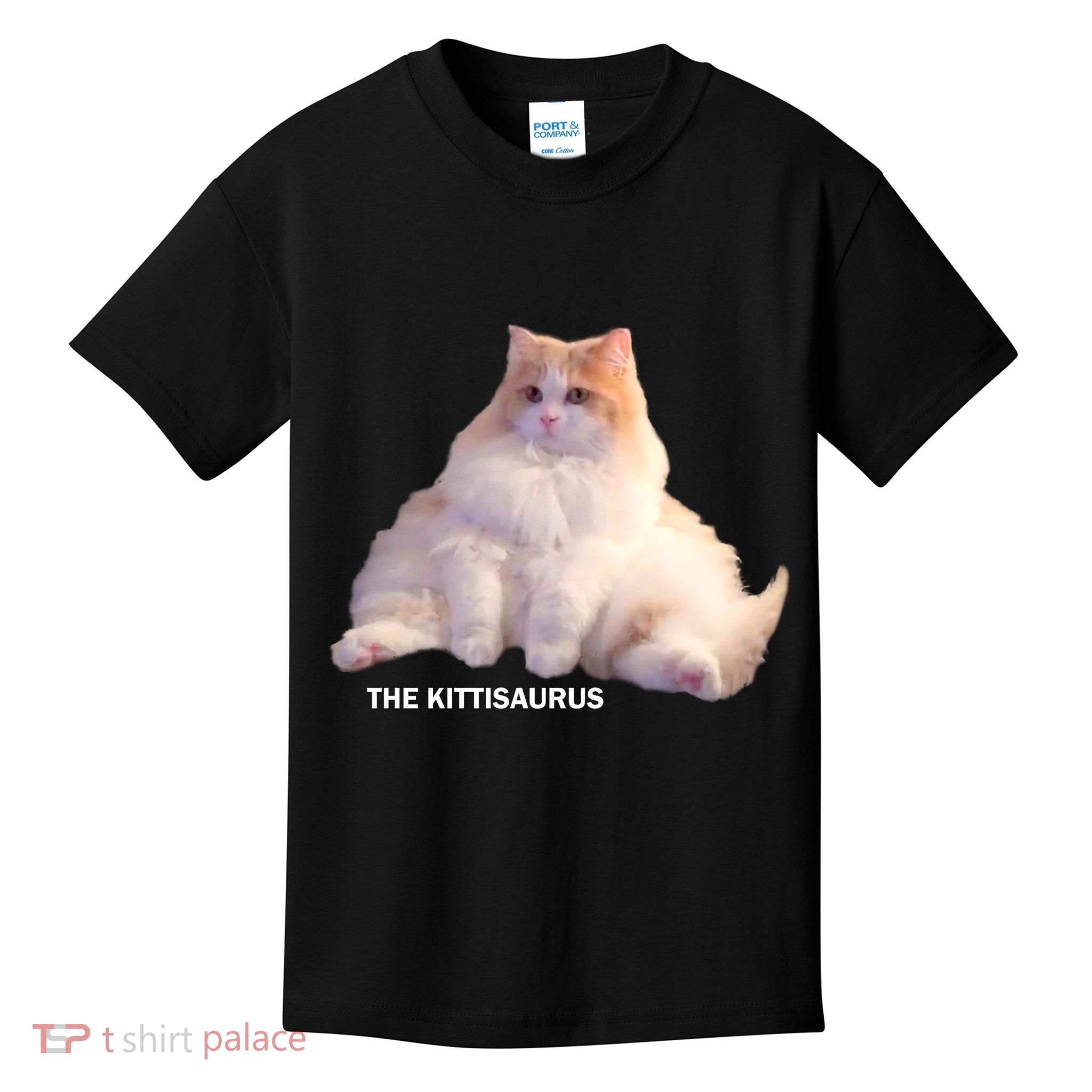 Cute DD The Cat Kittisaurus Kids T-Shirt