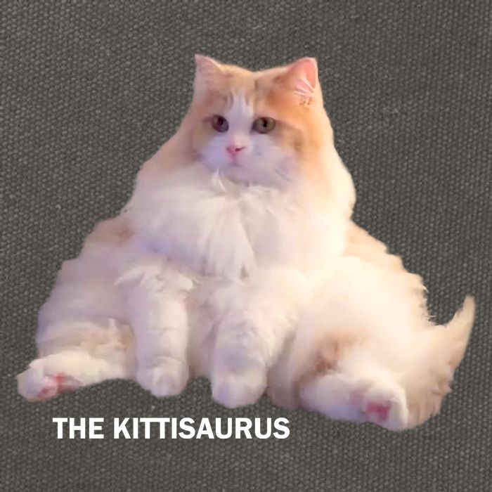 Cute DD The Cat Kittisaurus Cotton Canvas Backpack