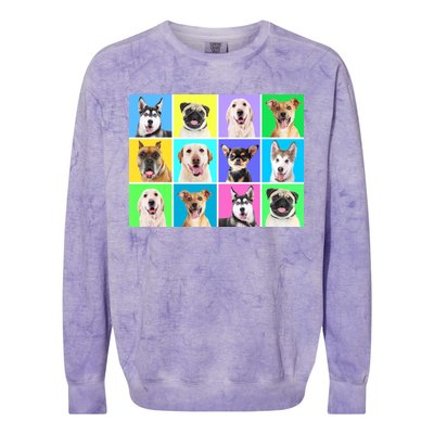 Cute Dogs Portrait Colorblast Crewneck Sweatshirt