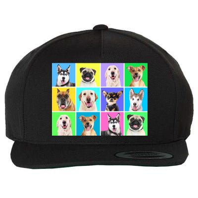 Cute Dogs Portrait Wool Snapback Cap