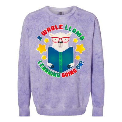 Cute Educational - A Whole Llama Learning Colorblast Crewneck Sweatshirt