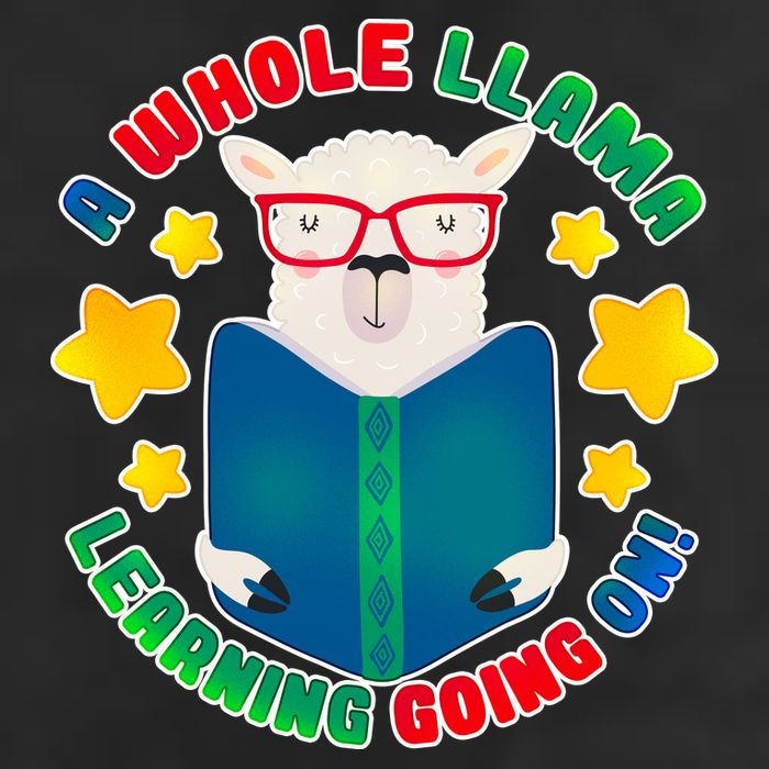 Cute Educational - A Whole Llama Learning Trucker Hat