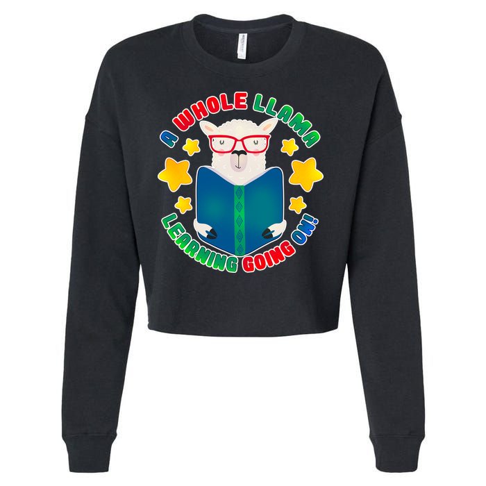 Cute Educational - A Whole Llama Learning Cropped Pullover Crew