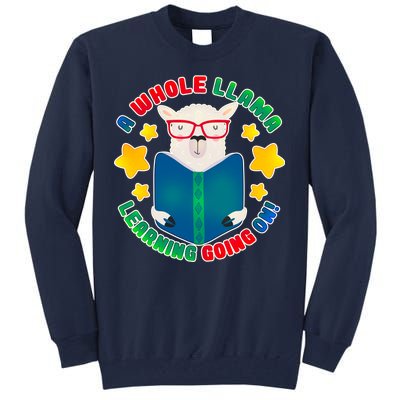 Cute Educational - A Whole Llama Learning Tall Sweatshirt