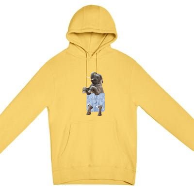 Cute Elephant Front Pocket Premium Pullover Hoodie