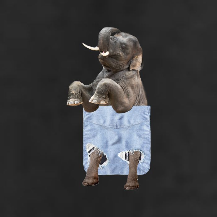 Cute Elephant Front Pocket Cool Comfort Performance Bucket Hat