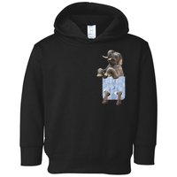 Cute Elephant Front Pocket Toddler Hoodie