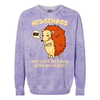 Cute Funny Hedgehogs Why Can't They Just Share the Hedge? Colorblast Crewneck Sweatshirt