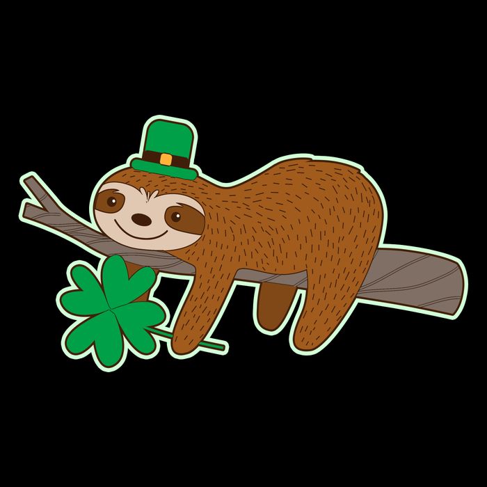 Cute Funny St Patrick's Day Sloth Crop Top
