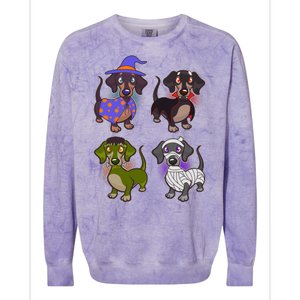 Cute Halloween Dachshunds  Colorblast Crewneck Sweatshirt