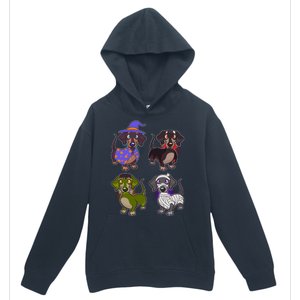 Cute Halloween Dachshunds  Urban Pullover Hoodie