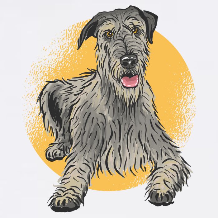 Cute Hound Dog Long Sleeve Shirt