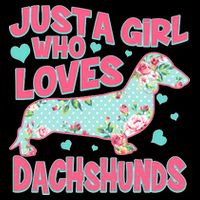 Cute Just A Girl Who Loves Dachshunds T-Shirt