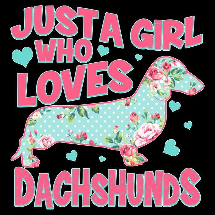 Cute Just A Girl Who Loves Dachshunds T-Shirt