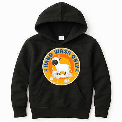 Cute Lamb Sheep Hand Wash Only Kids Hoodie