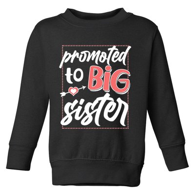 Cute Promoted To BIG Sister Toddler Sweatshirt