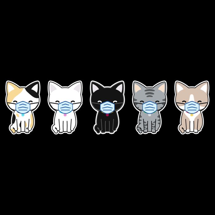 Cute Quarantine Kitties Cooling Performance Crew T-Shirt
