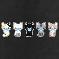 Cute Quarantine Kitties Adult Drive Performance Visor