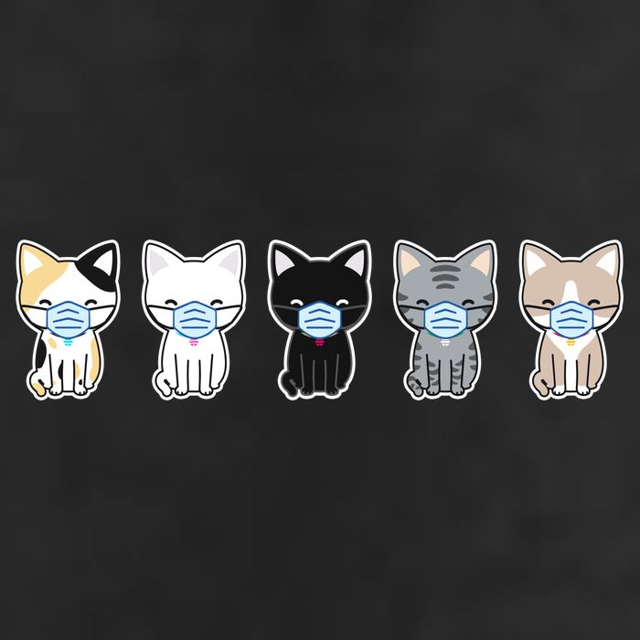 Cute Quarantine Kitties Adult Drive Performance Visor