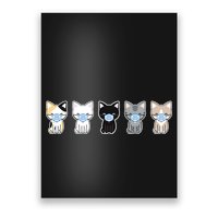 Cute Quarantine Kitties Poster